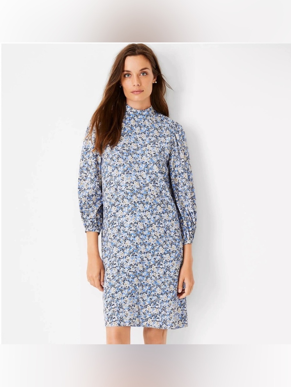 Ann Taylor Floral Mock Neck Shift Dress Blue Cream White Women’s Size 10P NWT
